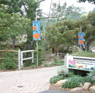 Santa Barbara Botanic Garden